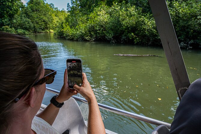 Morning Daintree Tour with River Cruise from Port Douglas - Weather, water levels, and realistic expectations