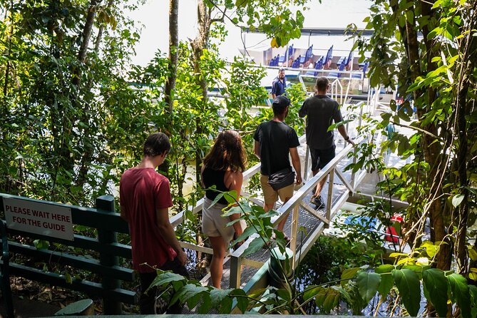 Morning Daintree Tour with River Cruise from Port Douglas - Morning tea after the boat ride