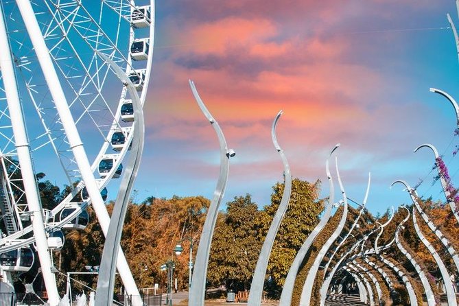 Morning Sightseeing Cruise: 10:30am-12pm (90min) - Kangaroo Point Cliffs and the working river