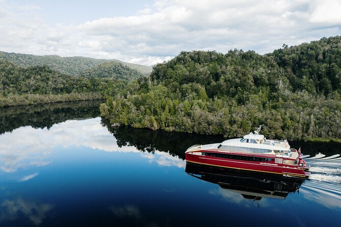 Morning World Heritage Cruise on the Gordon River from Strahan - Six things to know before you book