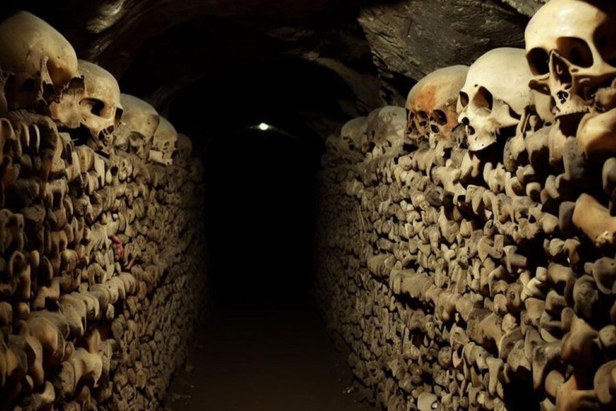 Paris: Catacombs, Audio Guide, and River Cruise Option - Getting the ticket and finding the entrances
