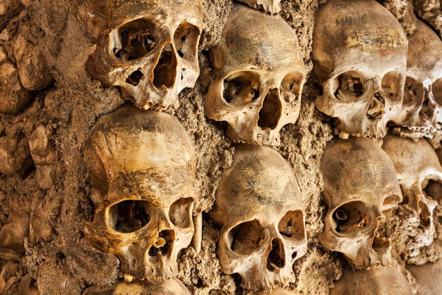 Paris: Catacombs Ticket and Seine River Cruise - What the $104 Price Really Buys You