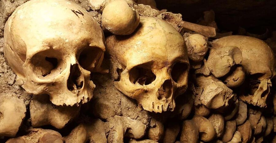 Paris: Catacombs Ticket and Seine River Cruise - Why the Catacombs Work Well for Families and Rainy Days