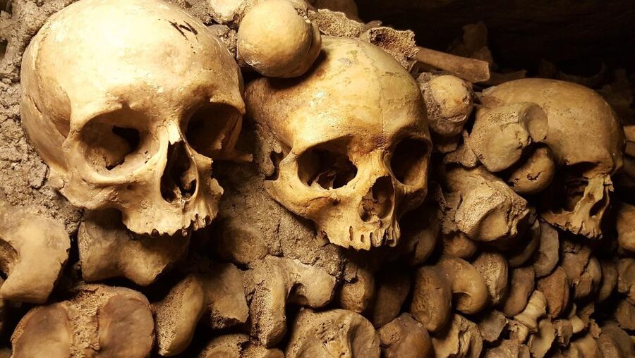 Paris: Catacombs Ticket and Seine River Cruise - The Best Time for Eiffel Tower Views