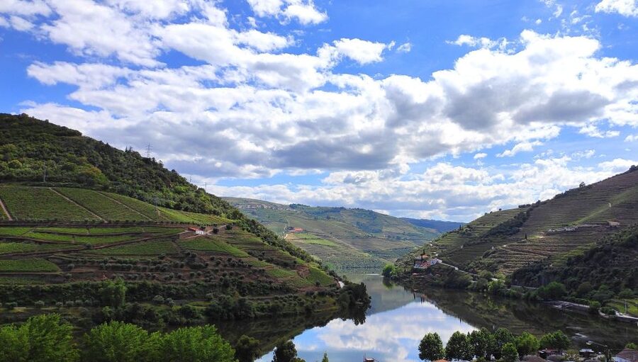 Pinhão: Douro River 50-min Boat Trip with Port Wine - A glass of Port with useful context