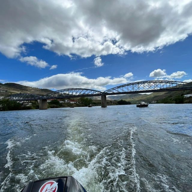 Pinhão: Douro River 50-min Boat Trip with Port Wine - Is $17 good value?