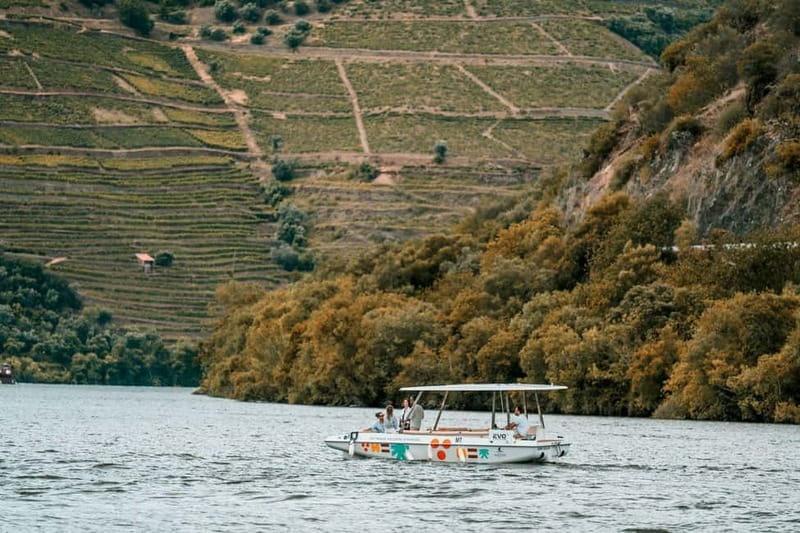 Pinhão: Douro River Solar Boat Tour with Wine Tasting - Is the $23 price good value?