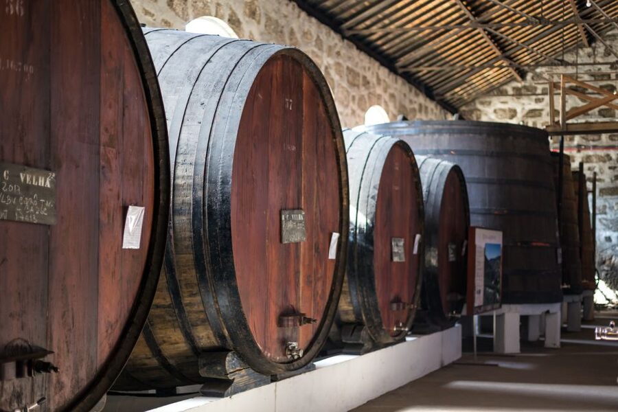 Porto: City Train Tour, River Cruise & Wine Cellar - Returning through Porto after the tasting