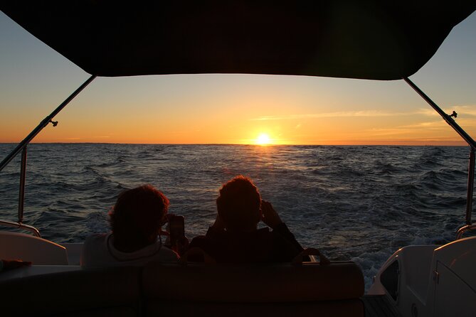 Porto Douro Private Cruise with Port Wine - Ribeira, the Luís I Bridge, and the Best Views