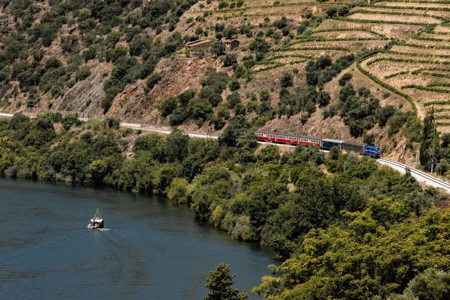 Porto: Douro Valley Full-Day Boat, Train, and Lunch Tour - The Douro Valley in six memorable pieces