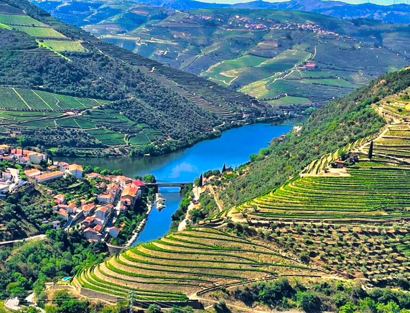 Porto: Douro Valley Private Tour 2 Vineyards & River Cruise - Key points at a glance