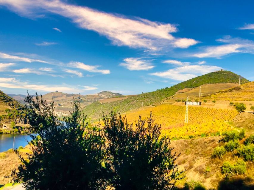 Porto: Douro Valley Private Tour 2 Vineyards & River Cruise - Who will enjoy this day most