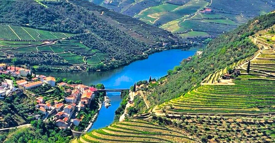 Porto: Douro Valley Private Tour 2 Vineyards & River Cruise - Why this Douro day works so well from Porto