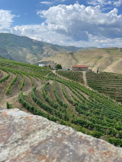 Porto: Douro Valley Private Tour 2 Vineyards & River Cruise - Pinhão and the one-hour river cruise