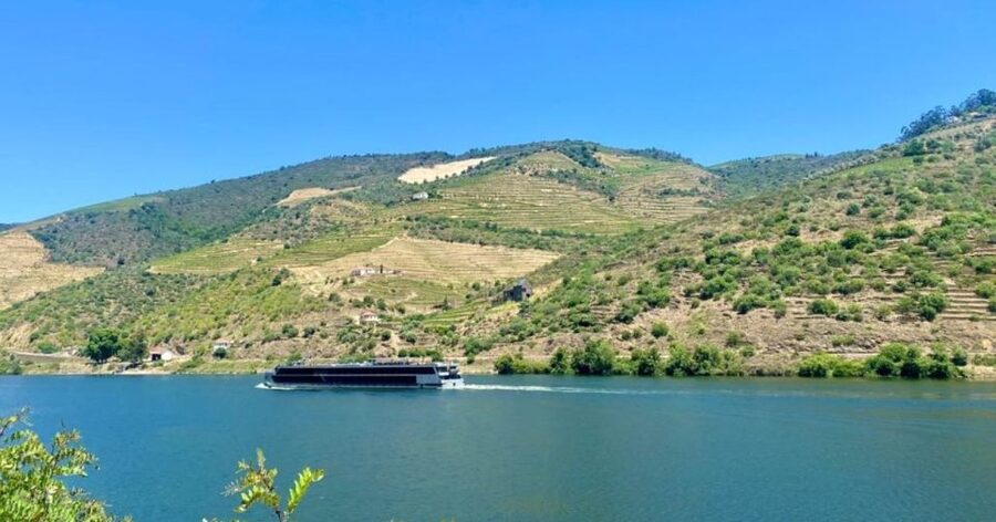 Porto: Douro Valley Private Tour 2 Vineyards & River Cruise - Lunch above the terraced vineyards