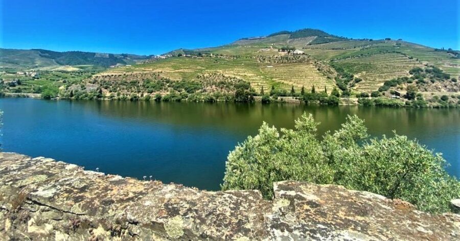 Porto: Douro Valley Private Tour 2 Vineyards & River Cruise - Port wine and the Douro’s story