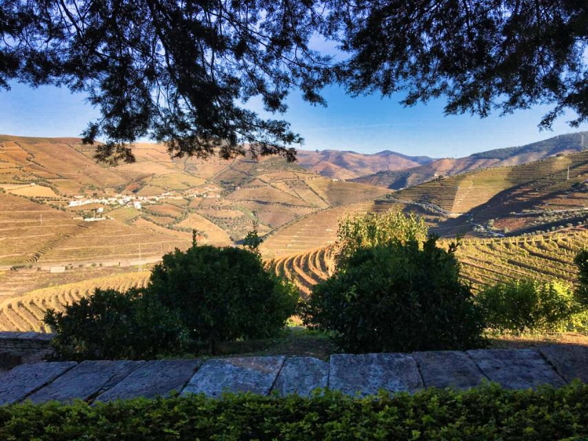 Porto: Douro Valley Private Tour 2 Vineyards & River Cruise - What the private price really gives you