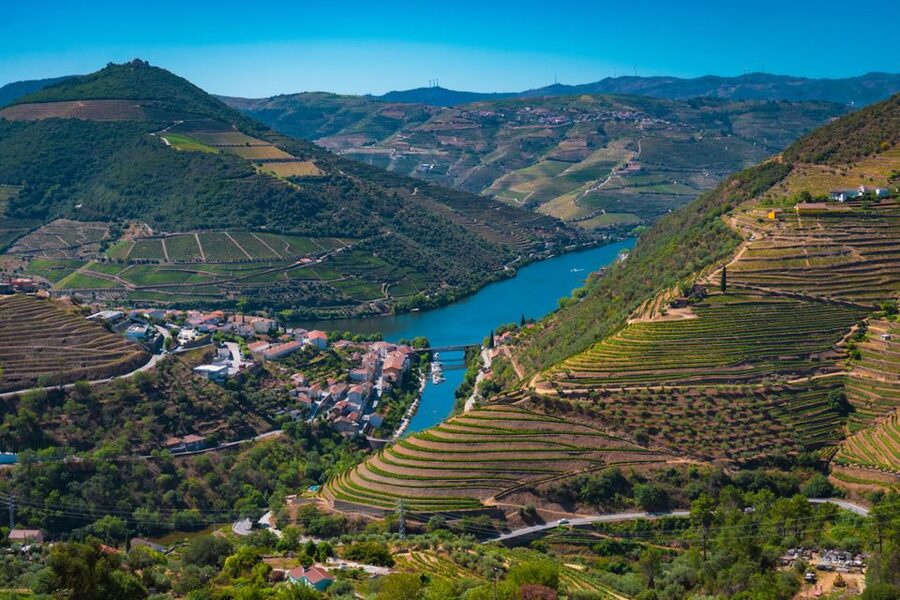 Porto: Douro Valley Tour with Lunch, Boat Cruise & Tastings - The guides make the long day work
