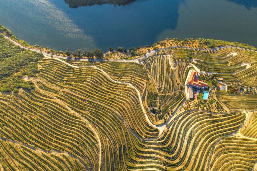 Porto: Douro Valley Tour with Lunch, Boat Cruise & Tastings - Lunch is social, local, and usually plentiful