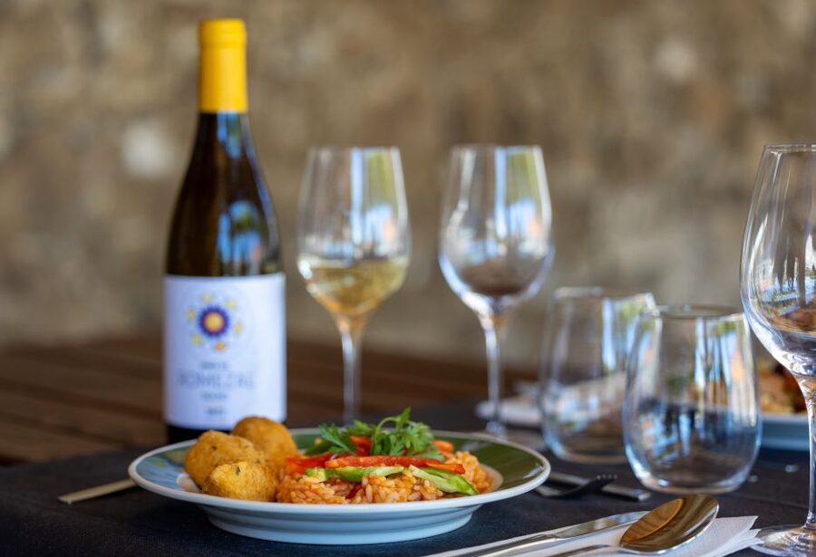 Porto: Douro Valley Tour with Lunch, Boat Cruise & Tastings - The Douro cruise is the visual centerpiece