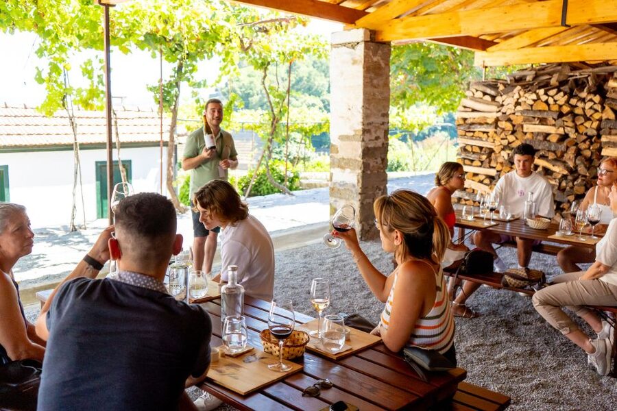 Porto: Douro Valley Tour with Lunch, Boat Cruise & Tastings - A second cellar and olive oil tasting add variety