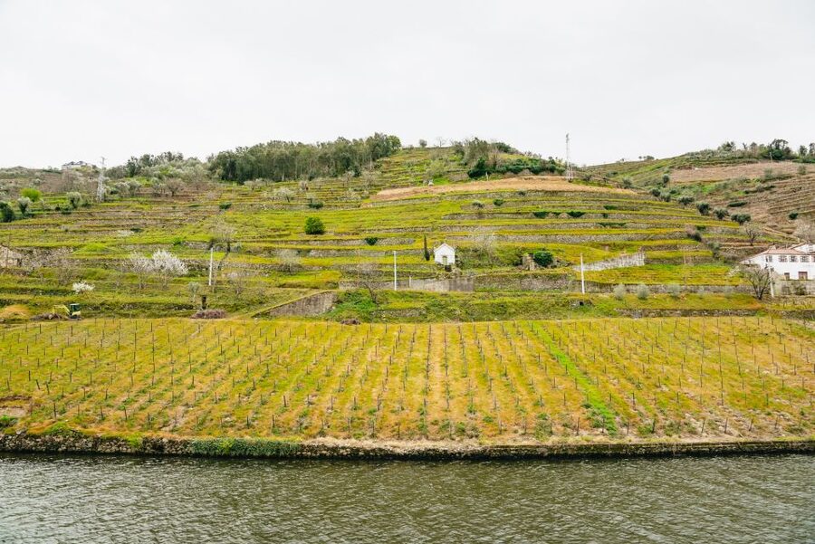 Porto - Régua - Porto Upstream Douro Cruise & Tour - Carrapatelo Dam is the big engineering moment