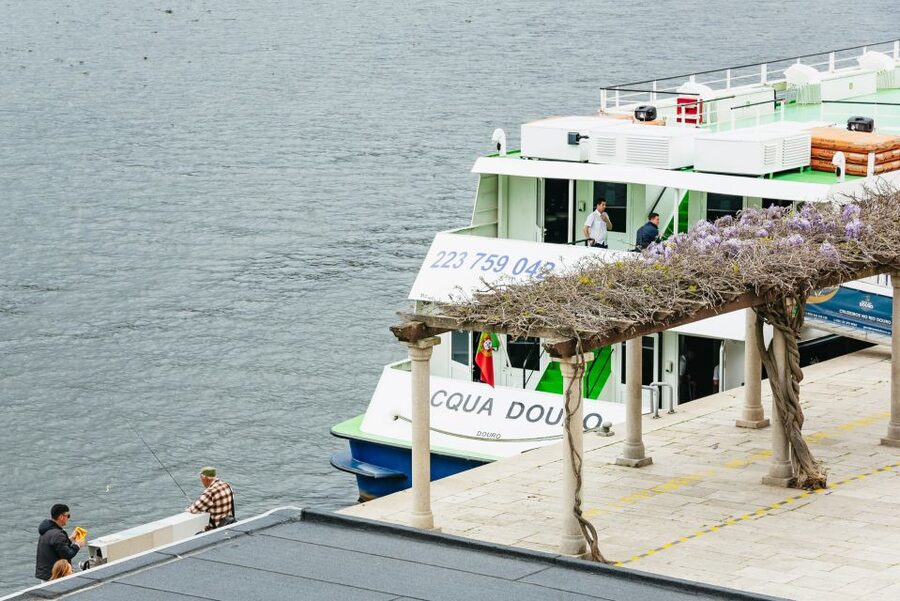 Porto - Régua - Porto Upstream Douro Cruise & Tour - The Douro Valley improves as Régua approaches