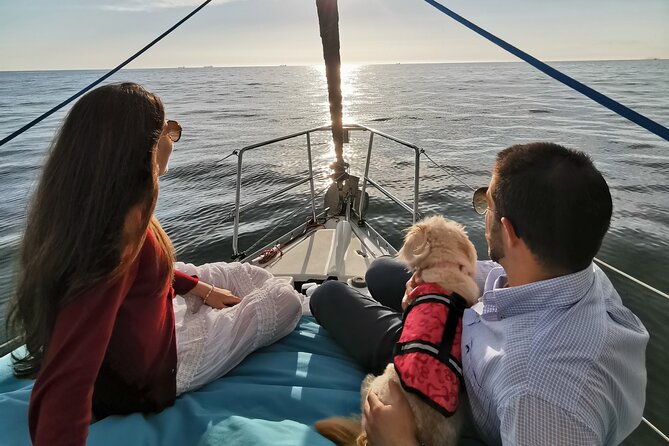 Porto: Sunset or Daytime, Charming Sailboat Cruise on the Douro River - Passing the Dom Luís I Bridge
