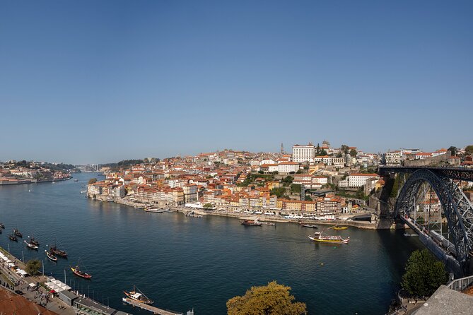 Porto Walking Tour, Lello Bookshop, River Cruise and Cable Car - Who should book this Porto experience
