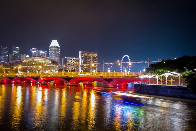 Private Tour: Nighttime Sightseeing with River Cruise - The Gardens by the Bay light show at 7:45pm