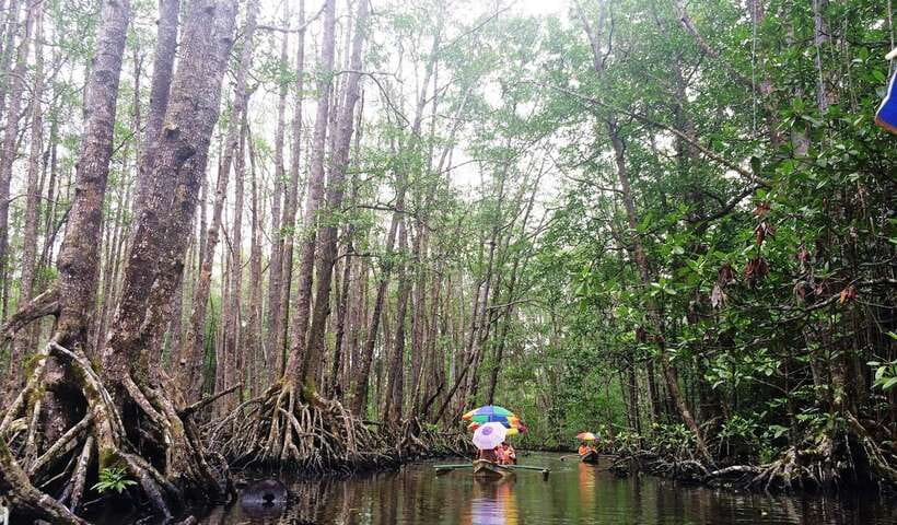 Puerto Princesa: Underground River, Zipline, Paddleboat Tour - Walking the beach to the 800-meter zipline