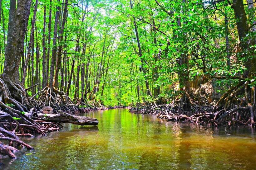 Puerto Princesa: Underground River, Zipline, Paddleboat Tour - Practical tips for a smoother day