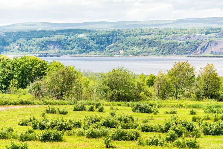 Québec City: Guided Sightseeing River Cruise - Who Should Book This Cruise?