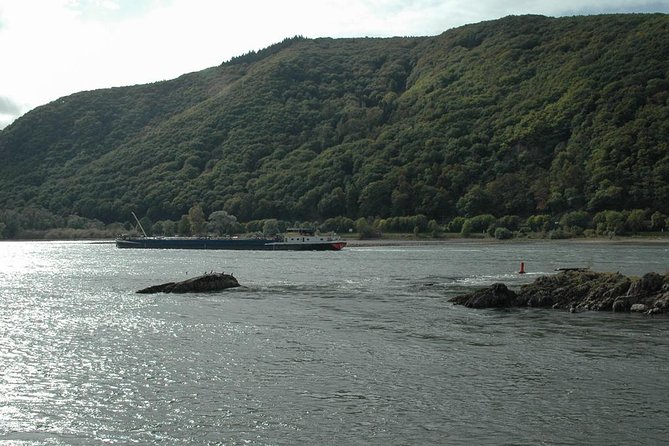 Rhine Valley Trip from Frankfurt including Rhine River Cruise - What $167 Buys You