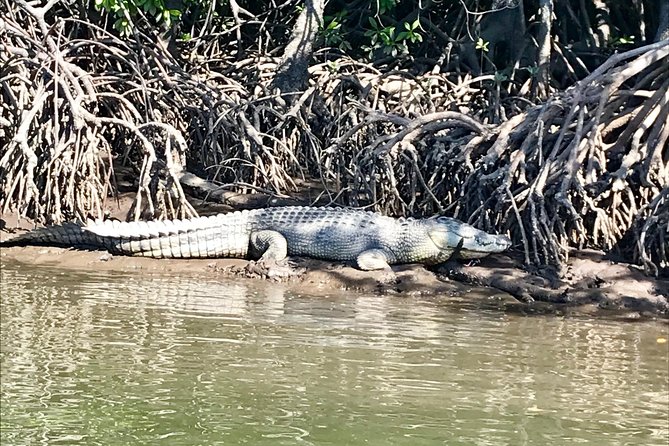River Cruise - Choosing the best time for your cruise