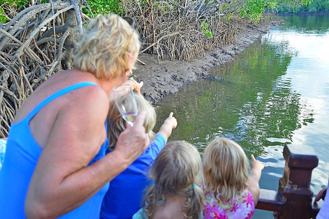 River Cruise - Looking for crocodiles in their natural setting