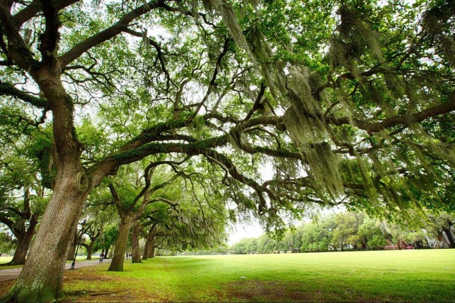 Savannah: Riverboat Cruise & City Tour Combo - Timing, transfers, and the three-hour estimate