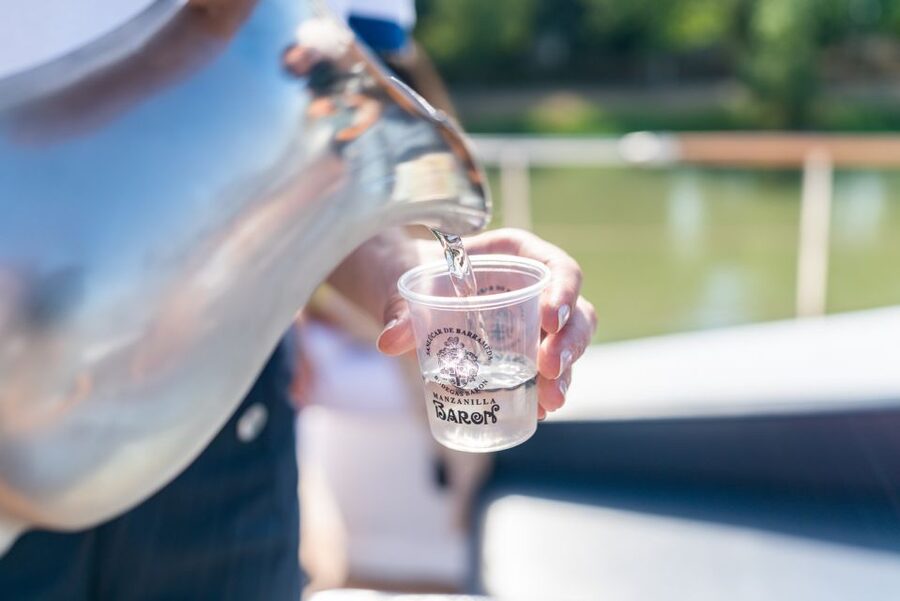 Seville: Guadalquivir Boat Tour with Optional Lunch/Dinner - Commentary, languages, and personal service