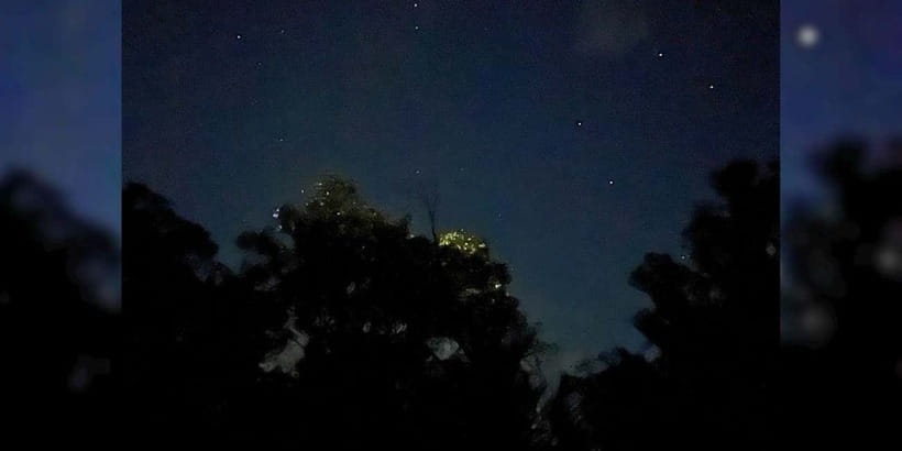 Shared Firefly Watching Cruise on Bohol’s Scenic Loboc River - Evening pickup from Panglao or Tagbilaran