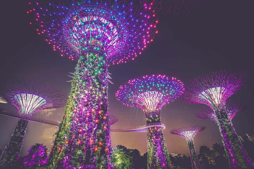 Singapore River Cruise, Garden Rhapsody & Spectra by CYT - What to bring and how to prepare