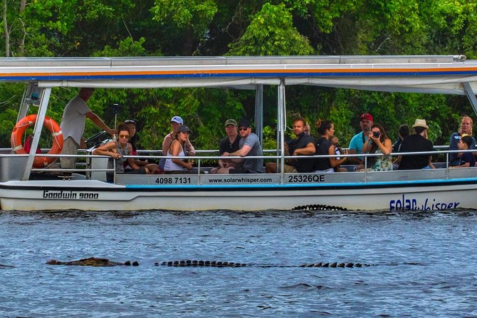 Solar Whisper Daintree River Crocodile and Wildlife Cruise - Quick points before you book