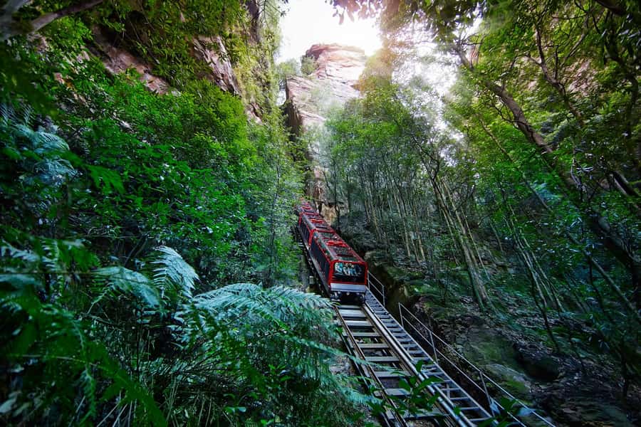Sydney: Blue Mountains National Park Tour with River Cruise - Walking to Wentworth Falls or Katoomba Falls