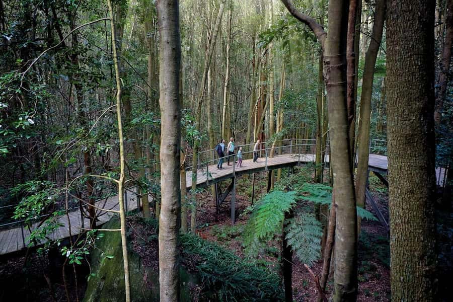 Sydney: Blue Mountains National Park Tour with River Cruise - The Parramatta River cruise to Circular Quay