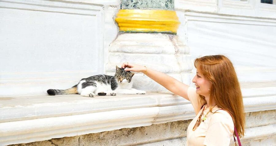 Topkapi Palace & Harem Tour + Bosphorus & Golden Horn Cruise - What the guide service is really worth