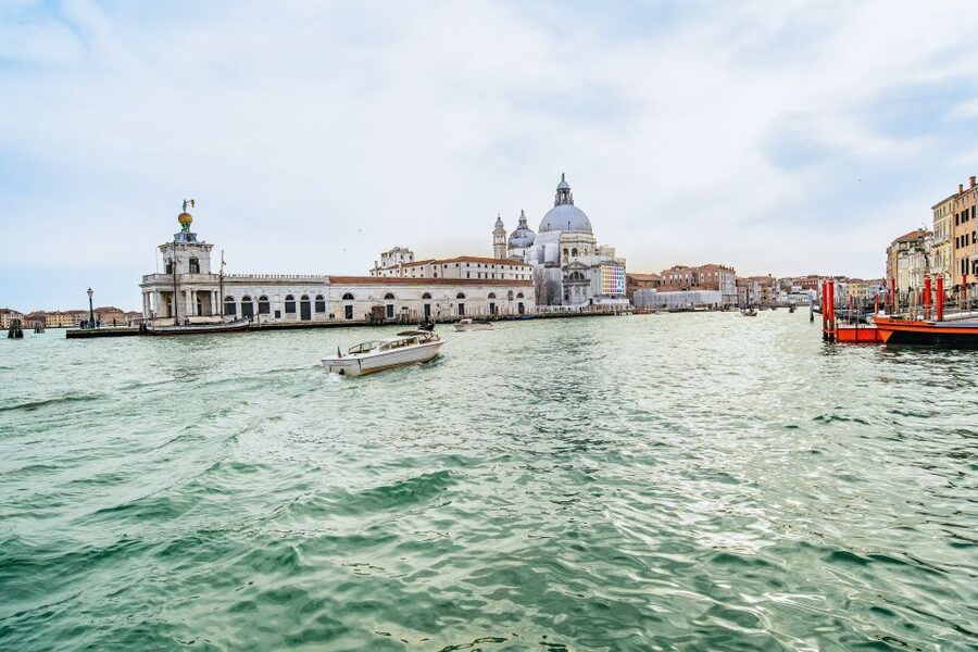 Venice: Grand Canal Boat Tour - Ca’ Vendramin Caliergi, Ca’ Pisani Moretta, and Fondaco dei Tedeschi