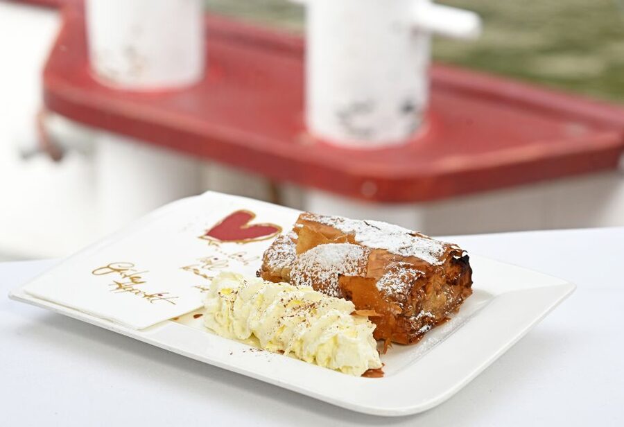 Vienna: Danube River Cruise w/ optional Viennese Specialties - A different view of Vienna from the Danube
