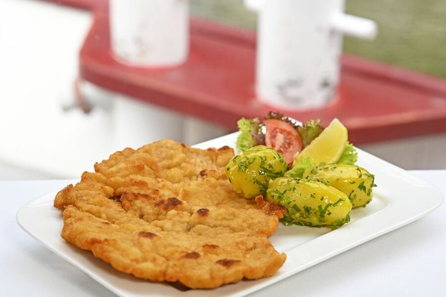 Vienna: Danube River Cruise w/ optional Viennese Specialties - What you see on the modern Vienna section