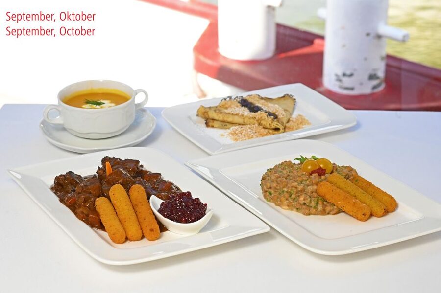 Vienna: Danube River Cruise w/ optional Viennese Specialties - Choosing between the 1.5-hour and 3.5-hour routes