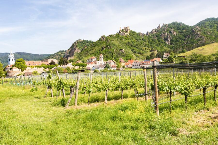 Vienna: Wachau Valley, Melk Abbey Tour with Danube Boat Trip - Melk town before the abbey