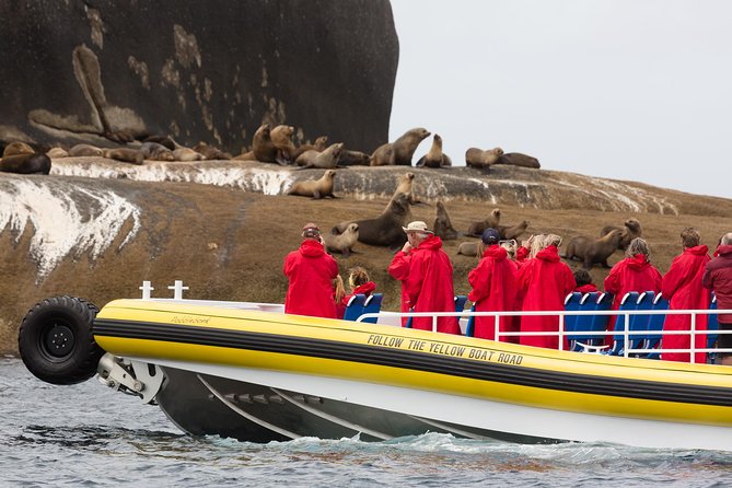Wilsons Promontory Wilderness Cruise from Tidal River - What the $118.35 price gives you